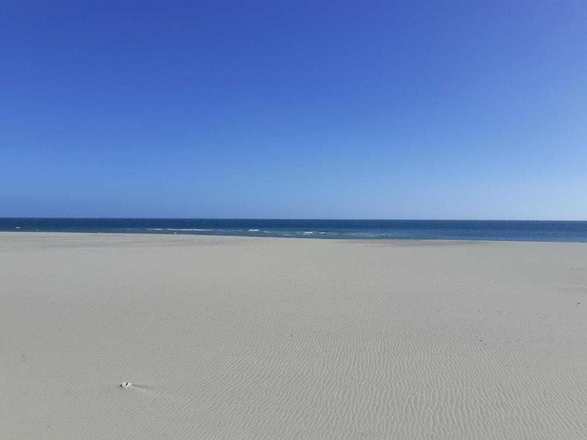 Sud Jardin Et Parking * Canet-en-Roussillon