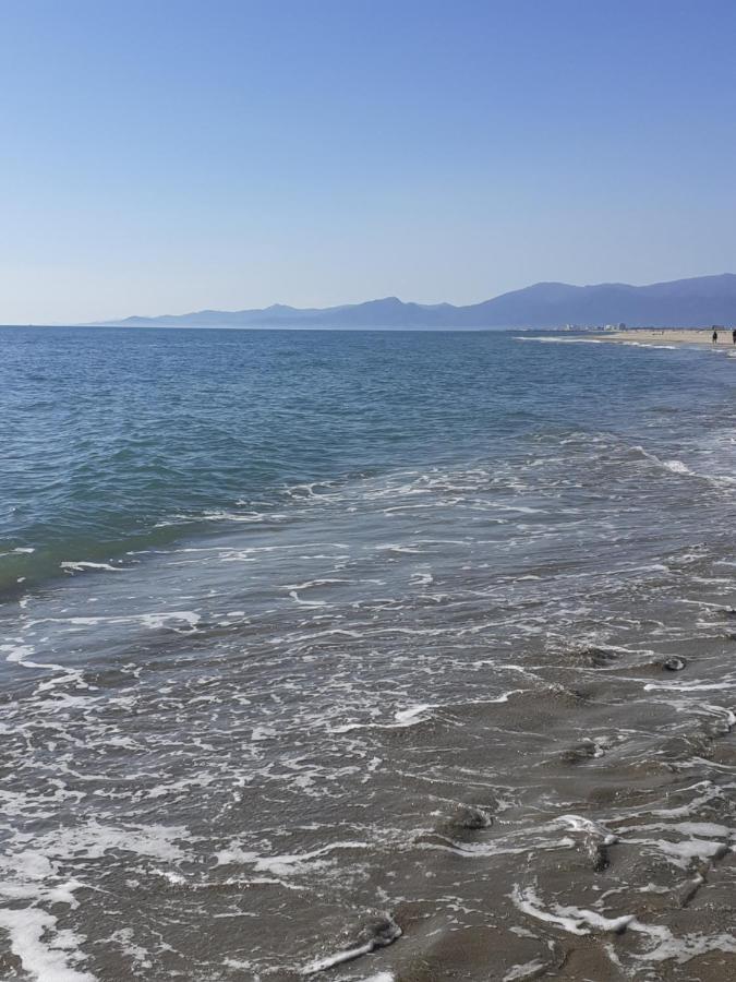 Sud Jardin Et Parking Canet-en-Roussillon